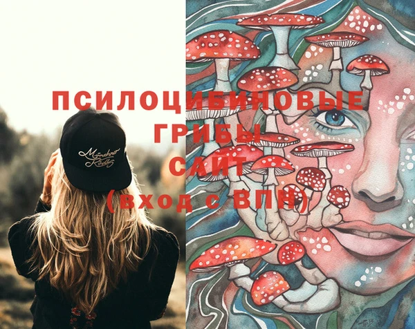 крисы Алзамай