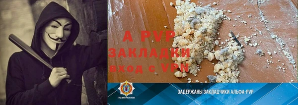 крисы Алзамай