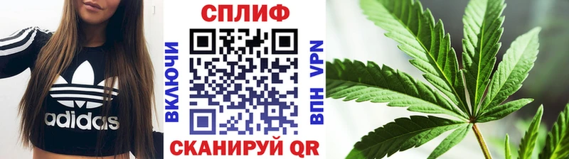 Бошки марихуана гибрид  Купить закладки  Венёв 